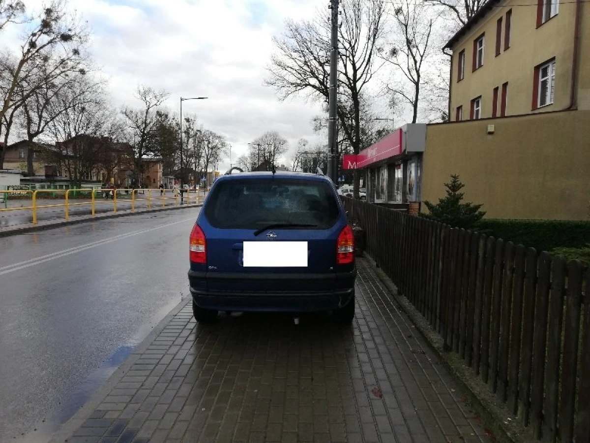 Zdjęcie