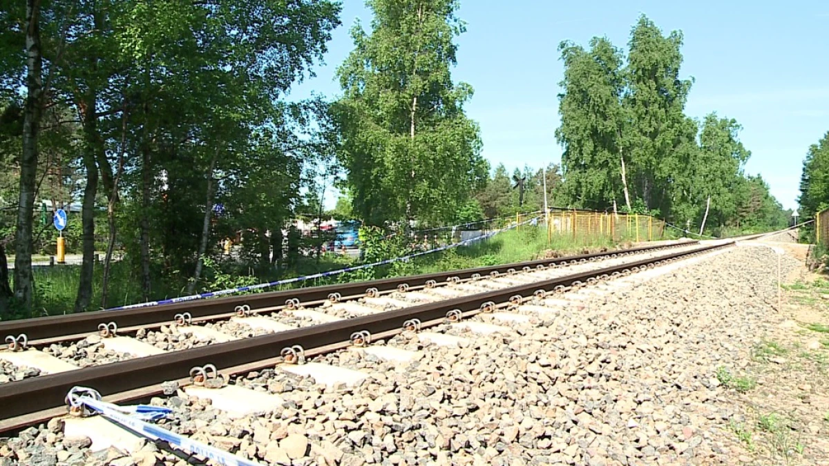 Zdjęcie
