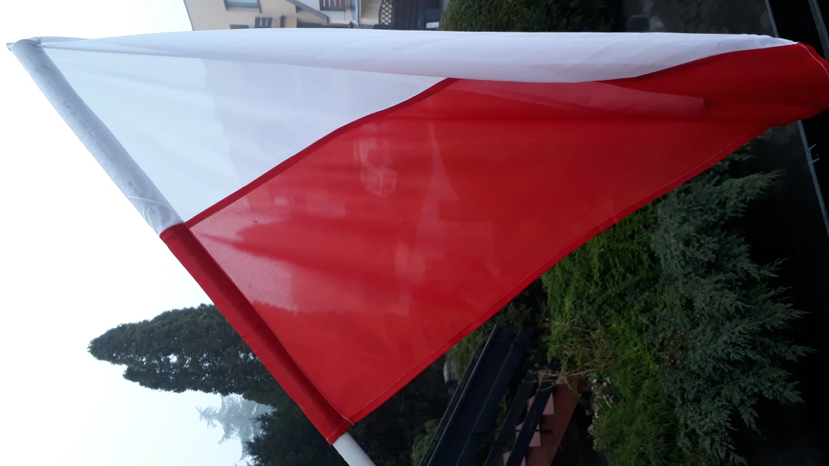 Zdjęcie