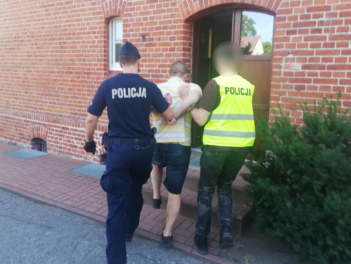 Zdjęcie