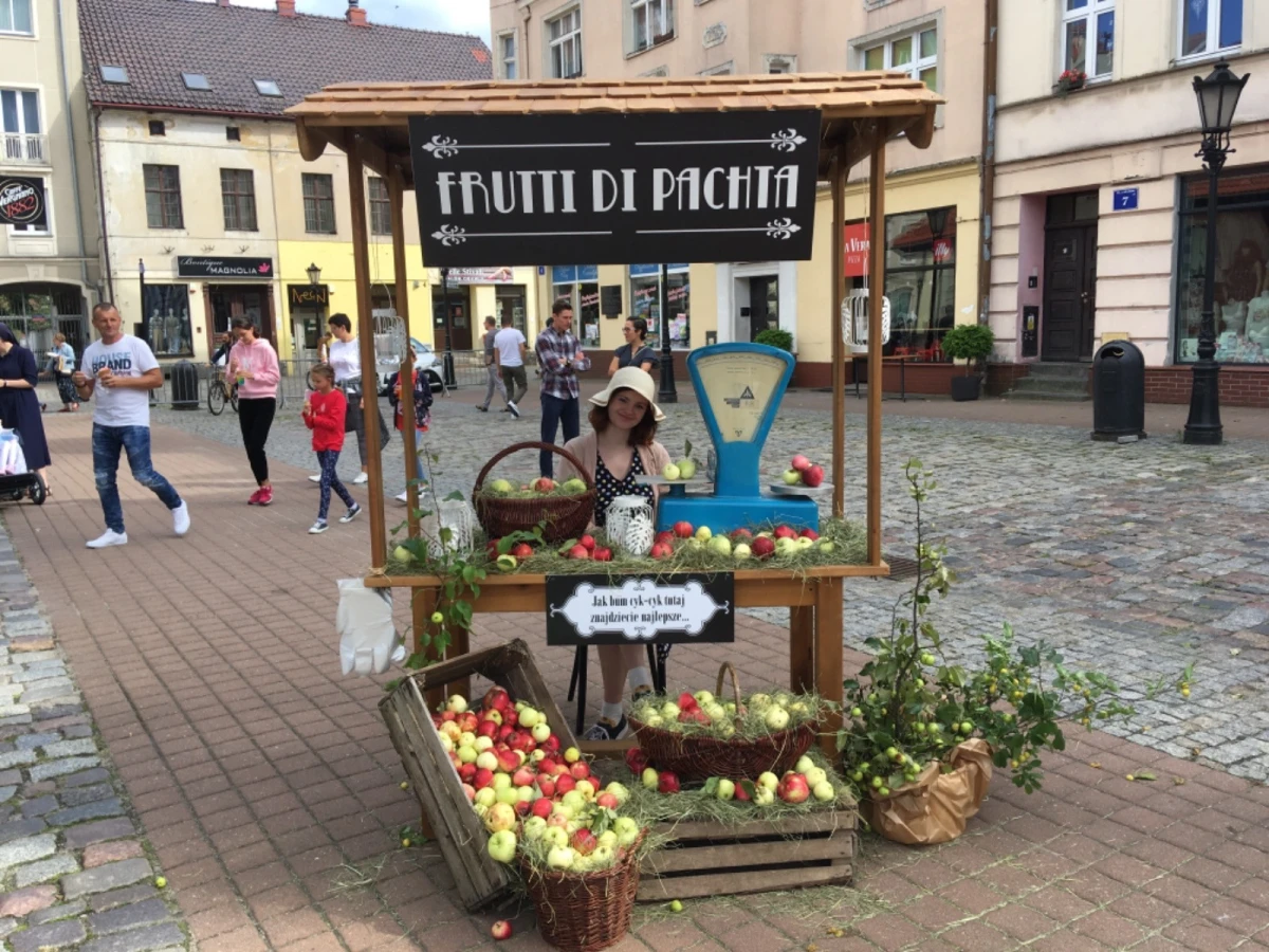 Zdjęcie