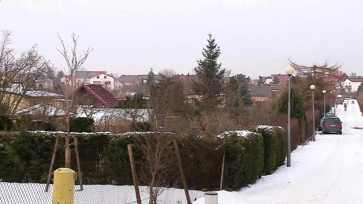 Zdjęcie