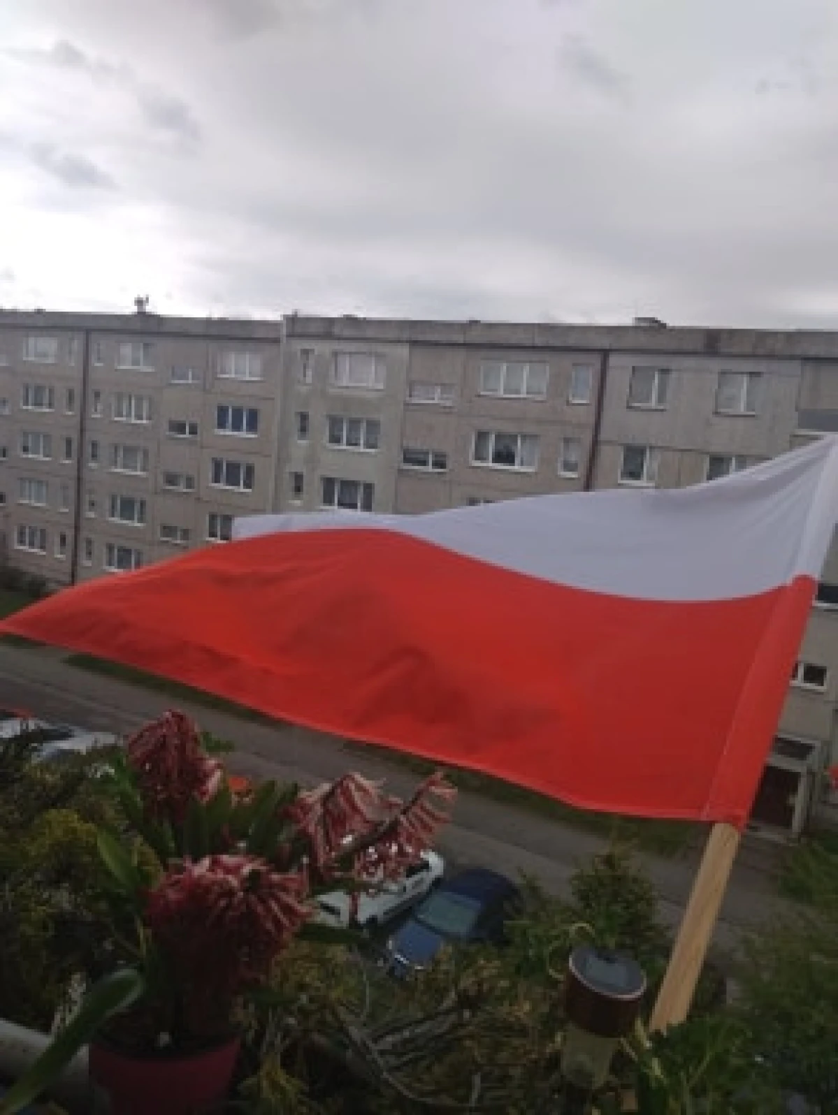 Zdjęcie