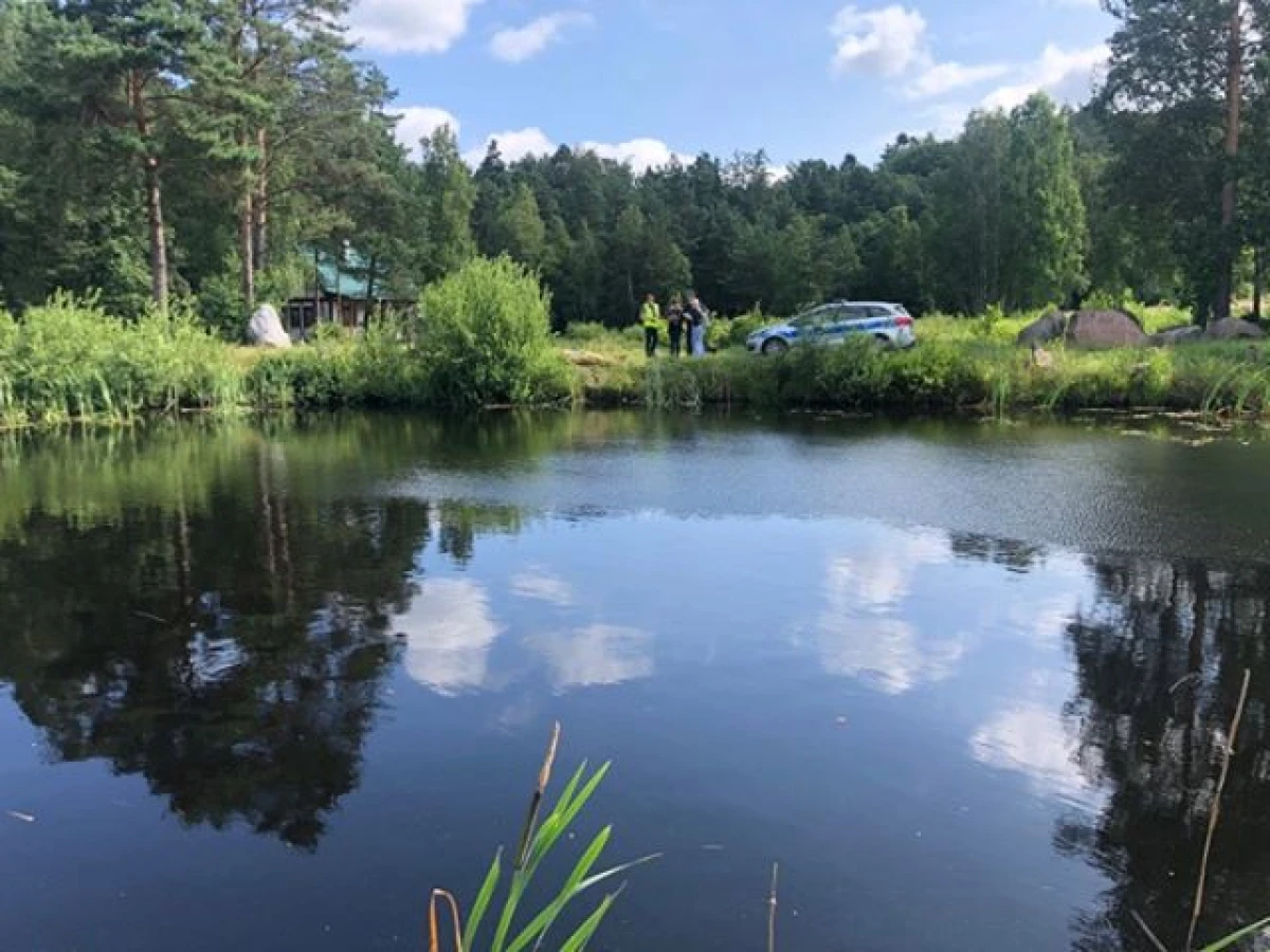 Zdjęcie