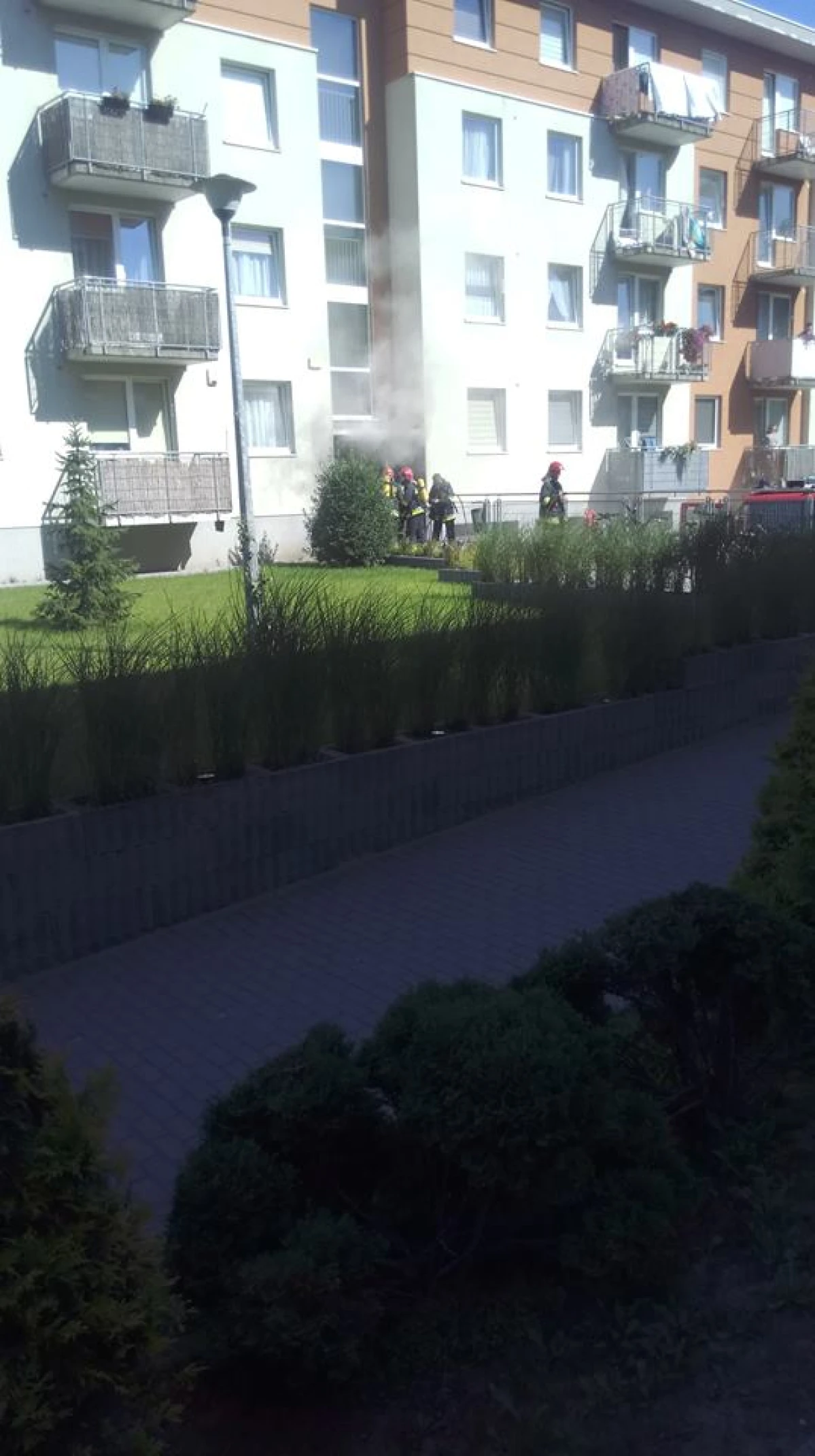 Zdjęcie