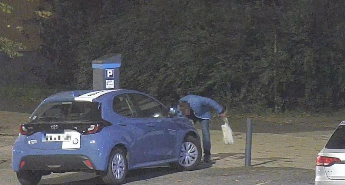 Zdjęcie