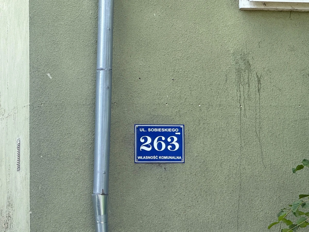 Zdjęcie