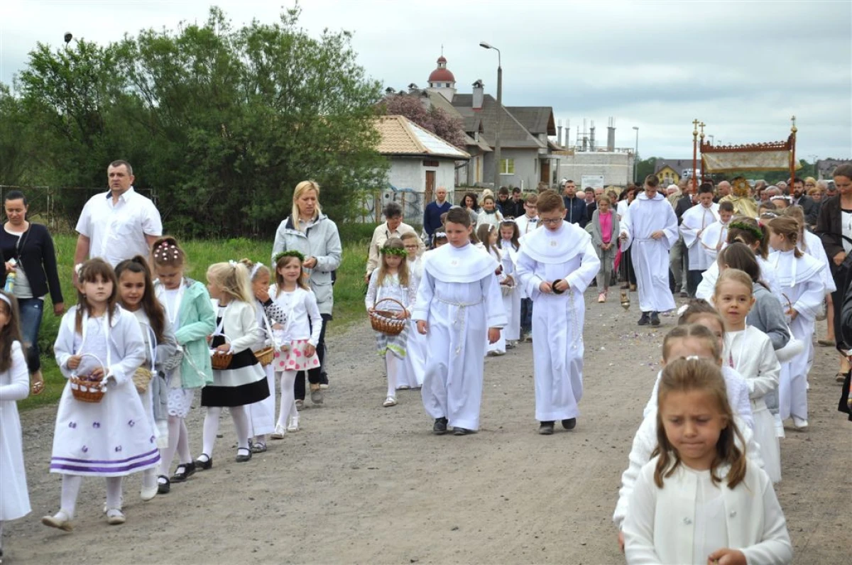 Zdjęcie