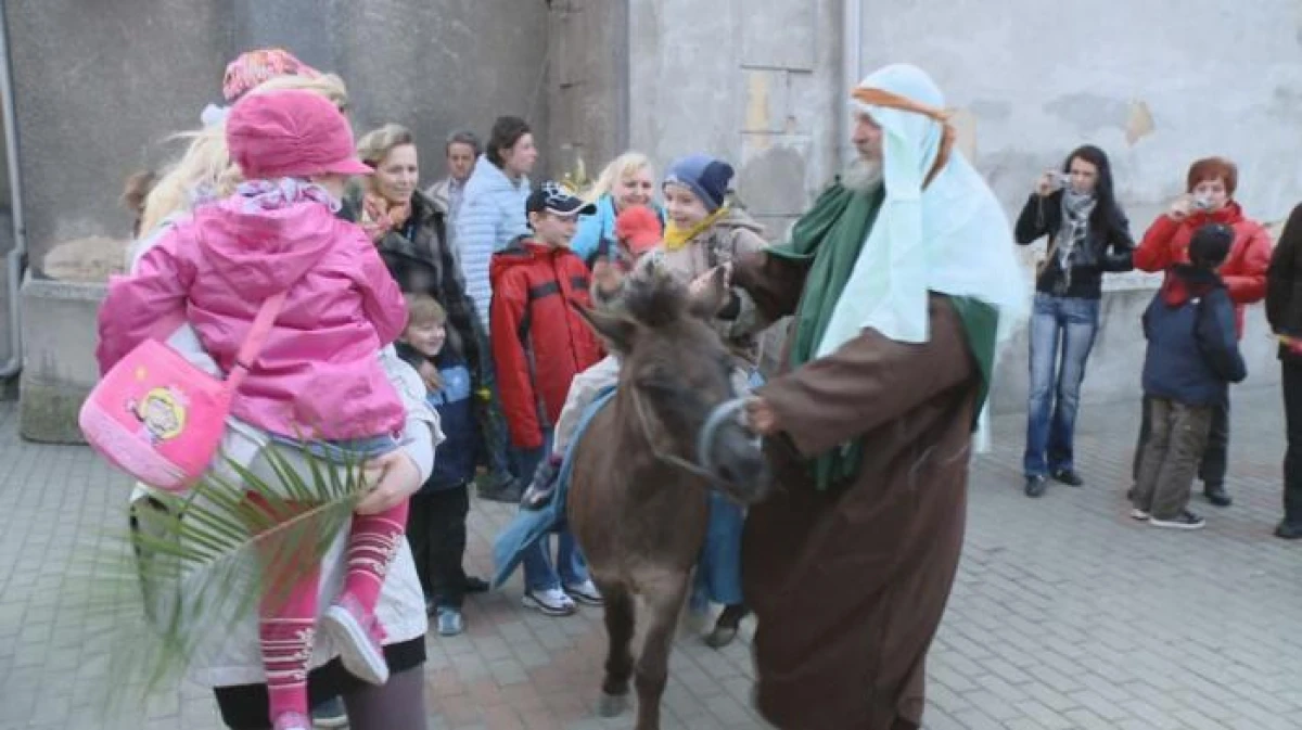 Zdjęcie
