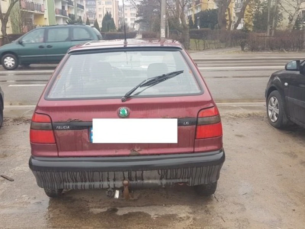 Zdjęcie