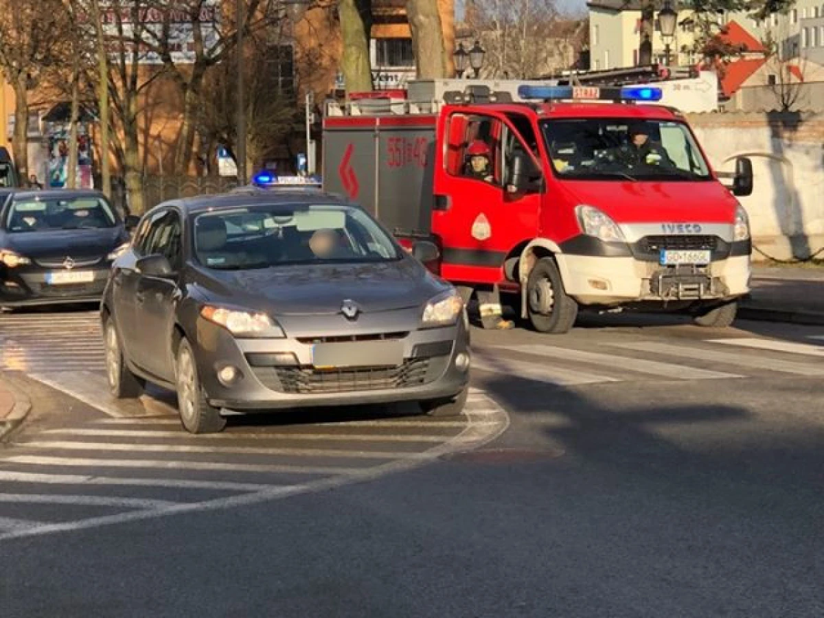 Zdjęcie