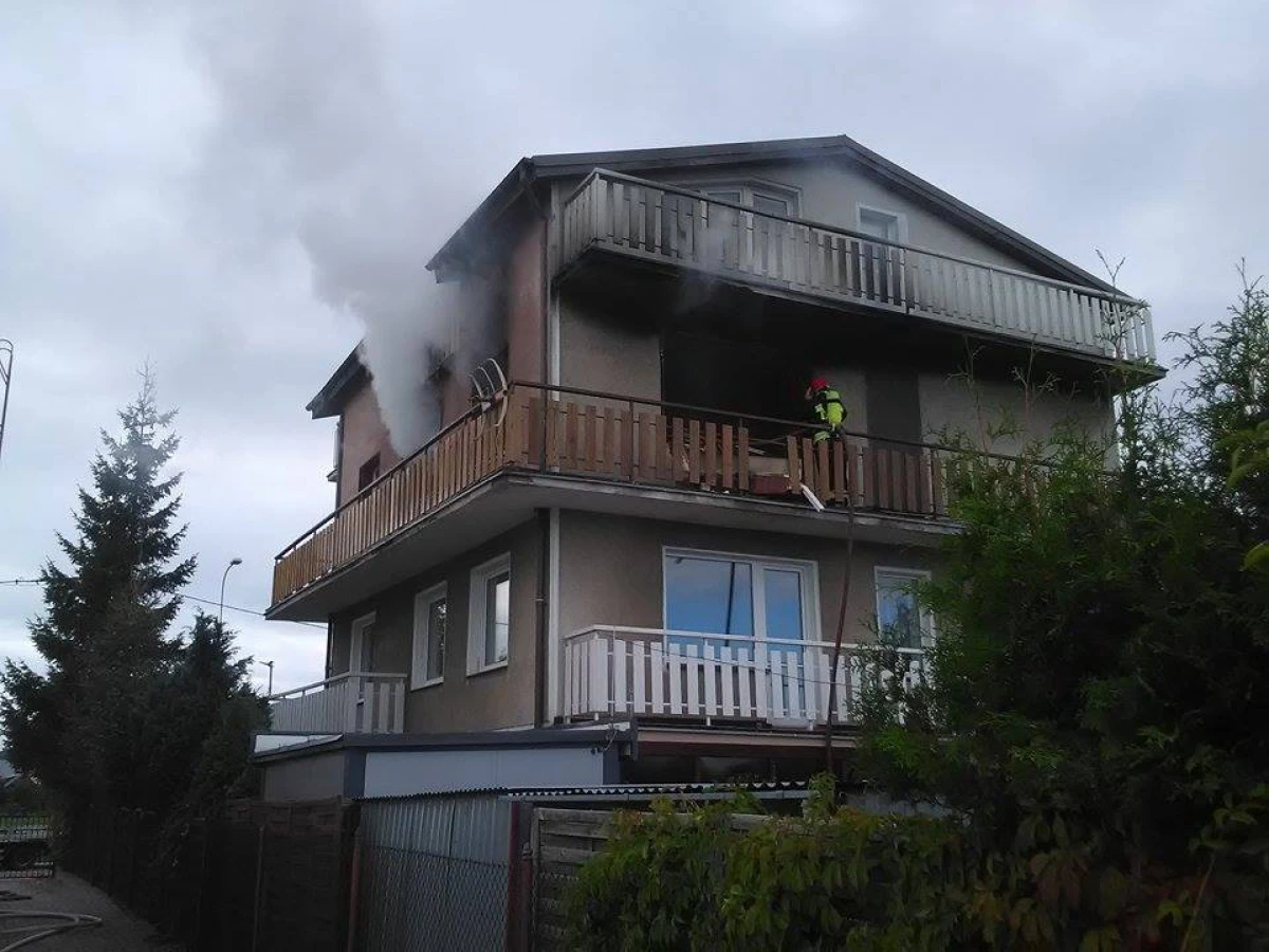 Zdjęcie
