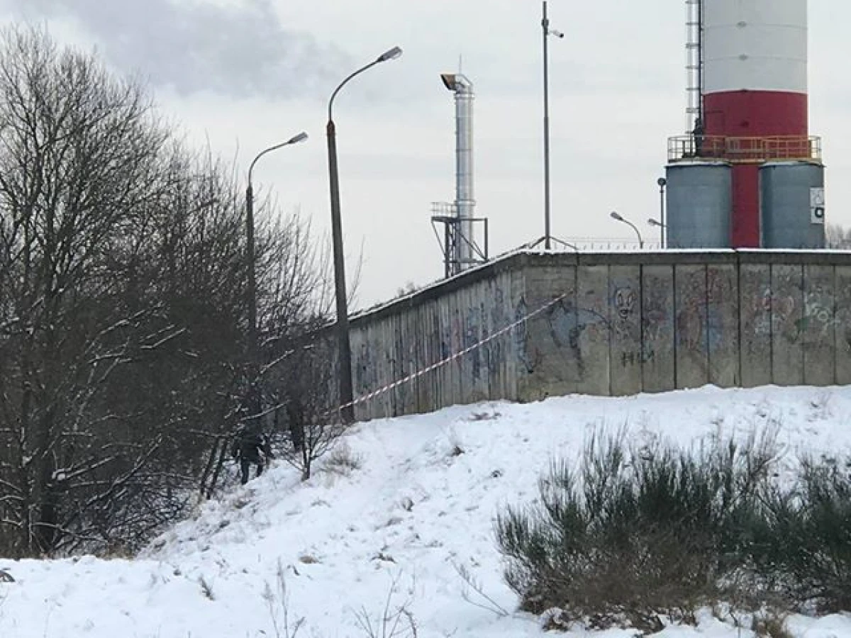 Zdjęcie