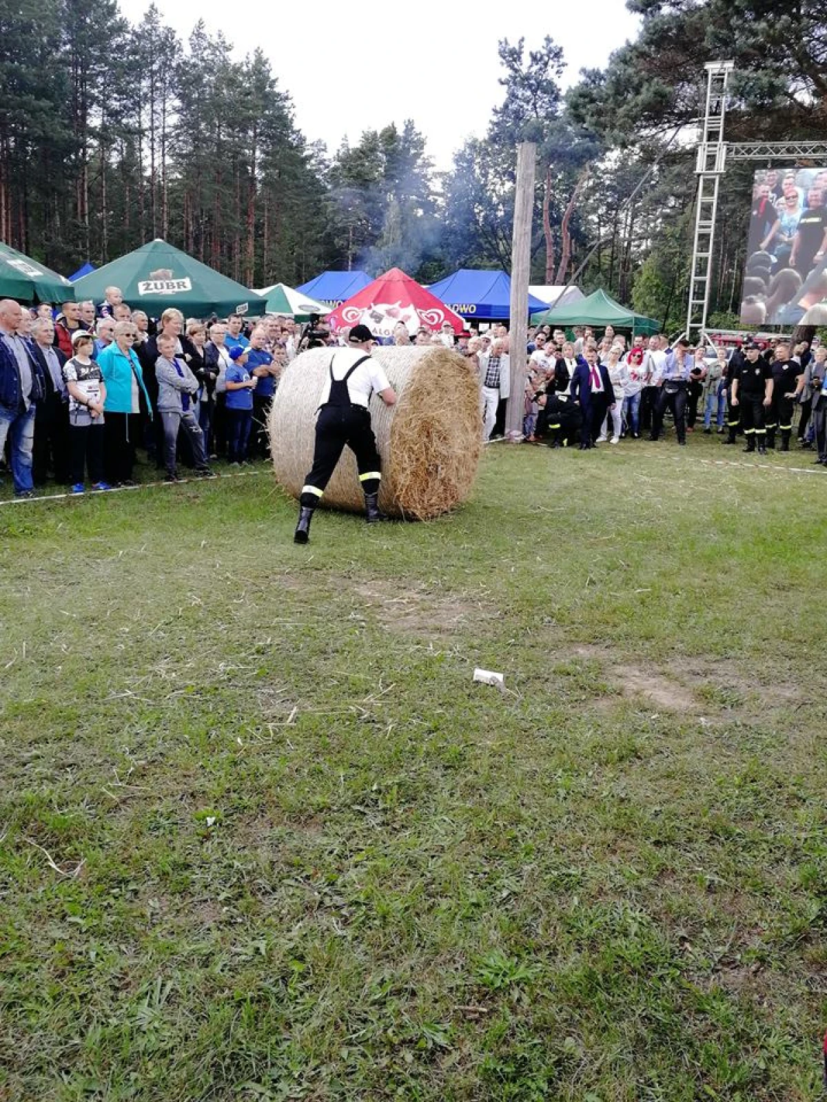 Zdjęcie