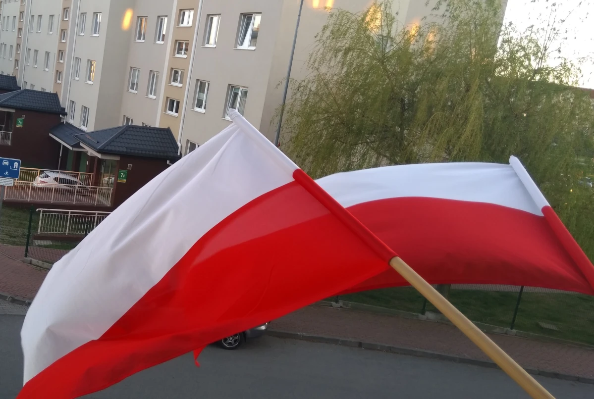 Zdjęcie