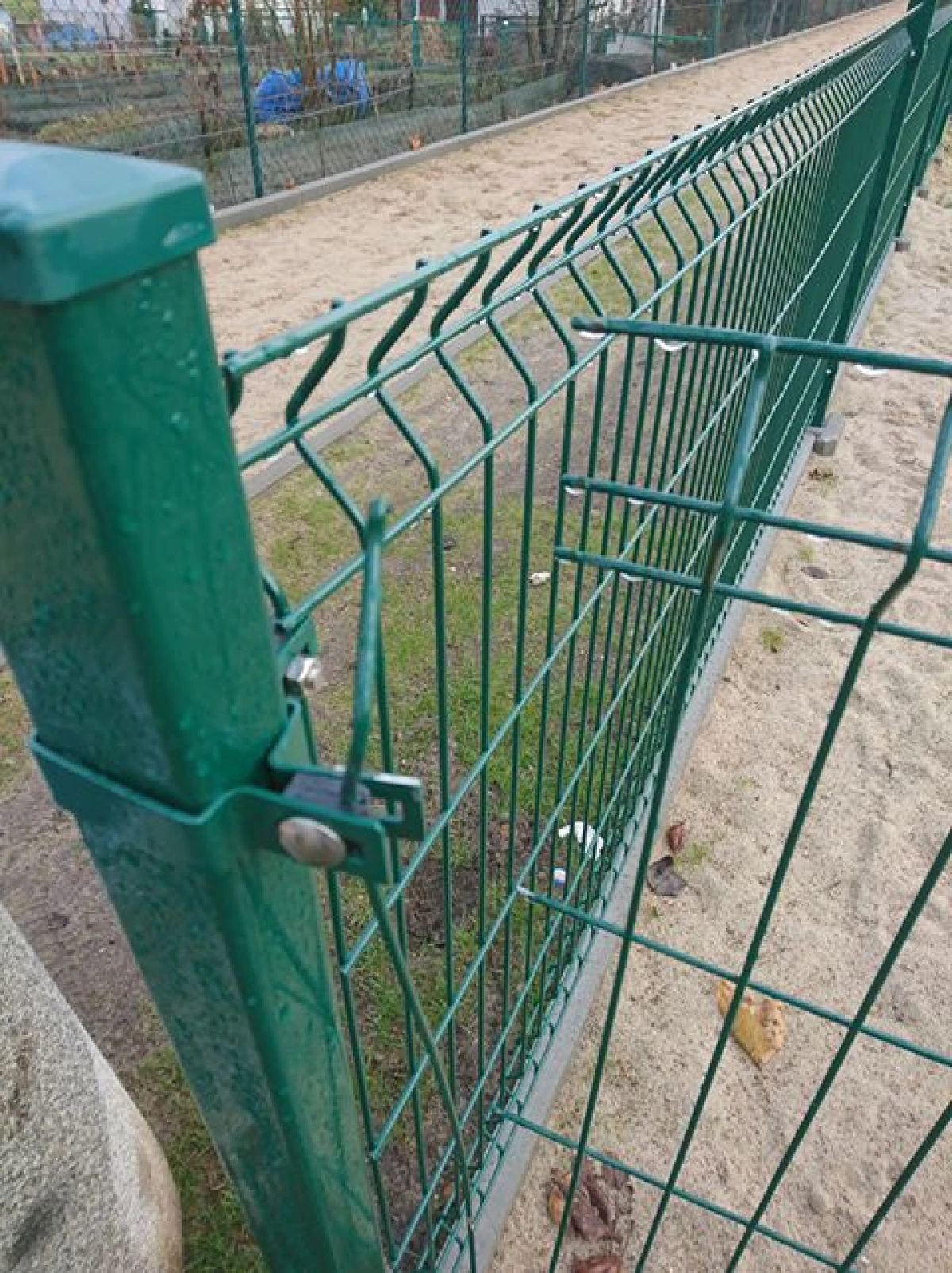 Zdjęcie