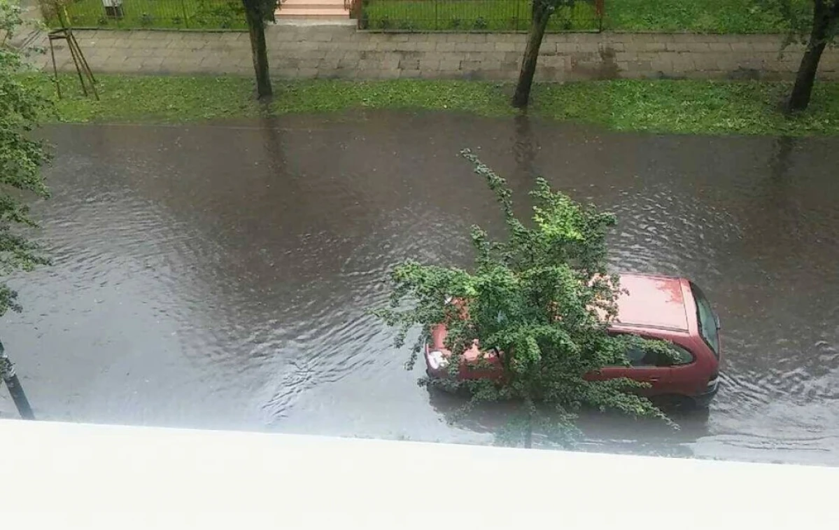 Zdjęcie