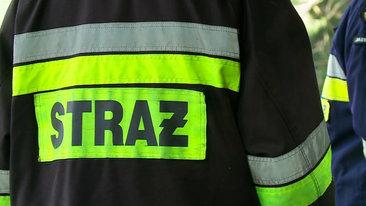 Zdjęcie