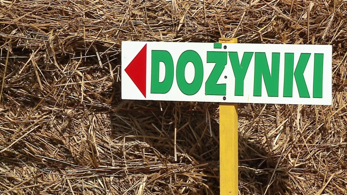 Zdjęcie