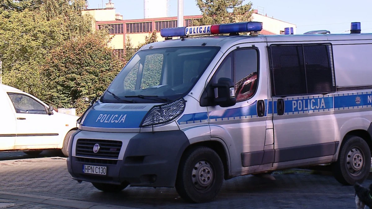 Zdjęcie