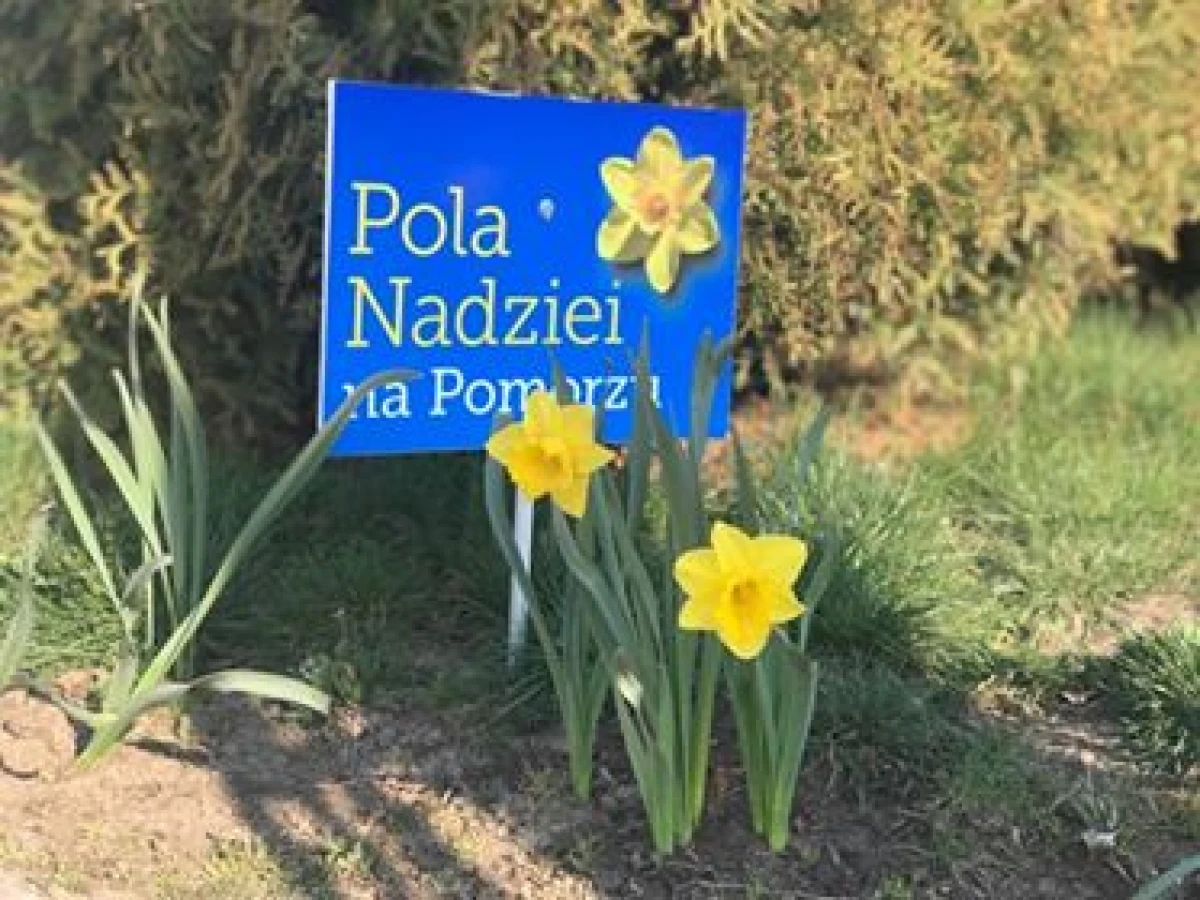 Zdjęcie