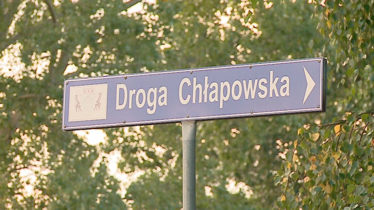 Zdjęcie