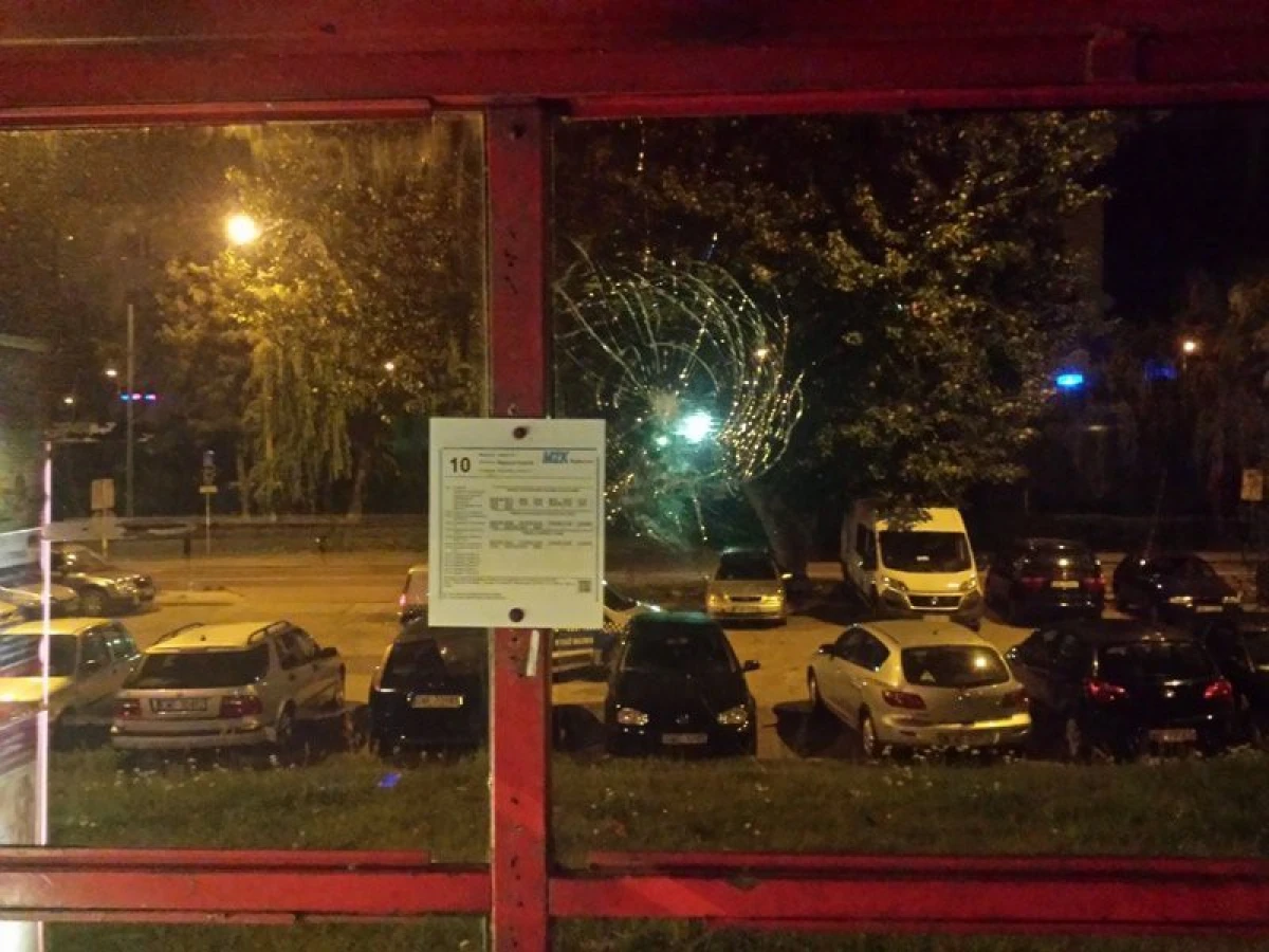 Zdjęcie
