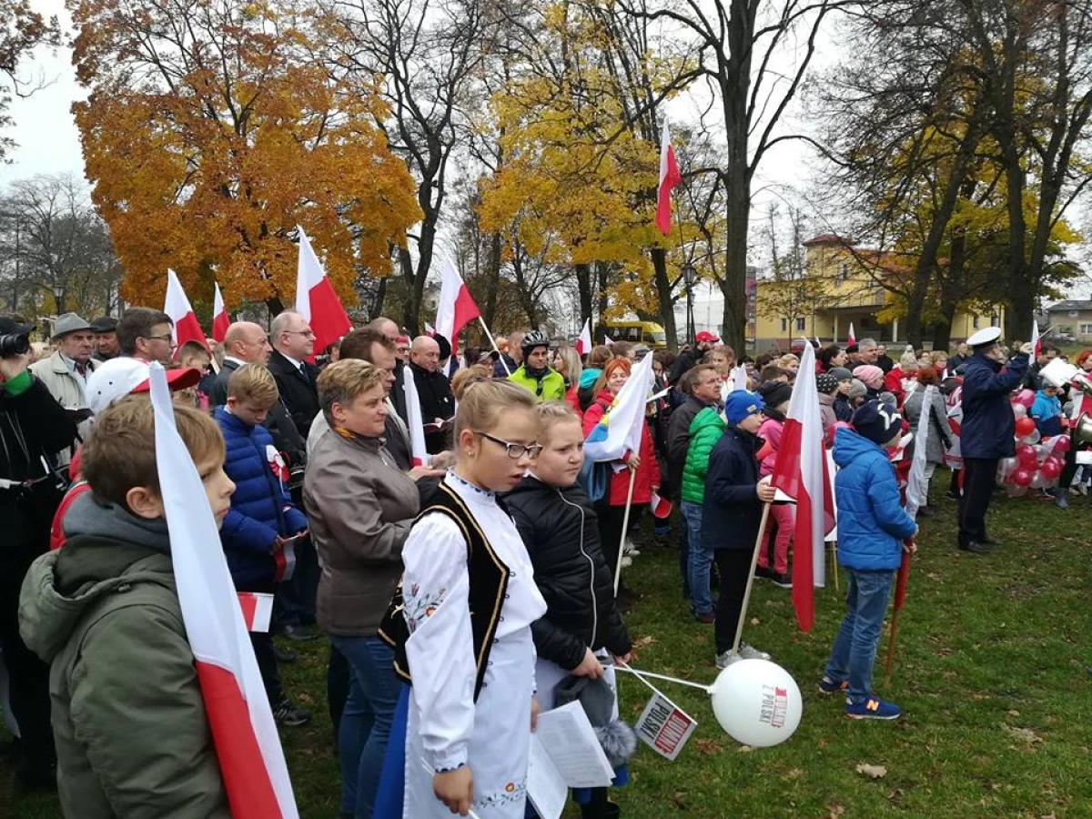 Zdjęcie