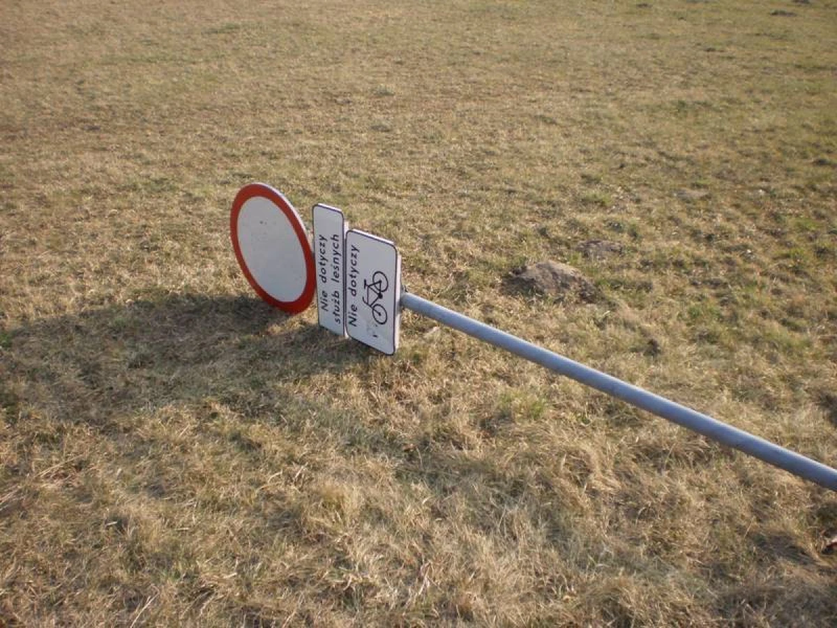 Zdjęcie