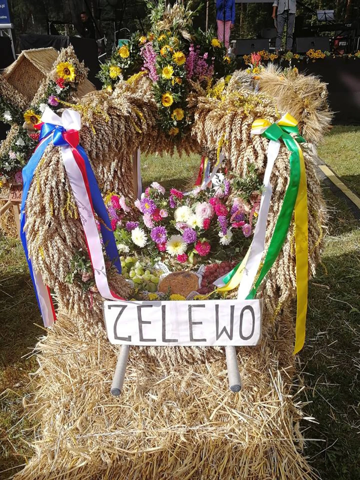 Zdjęcie