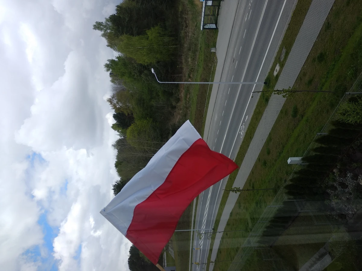Zdjęcie