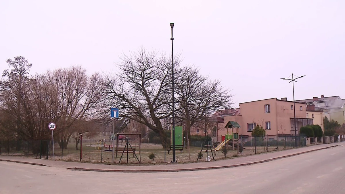 Zdjęcie