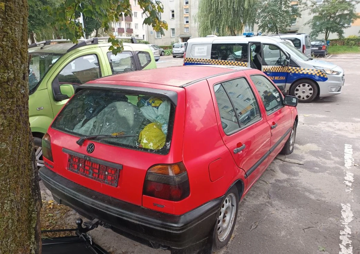 Zdjęcie