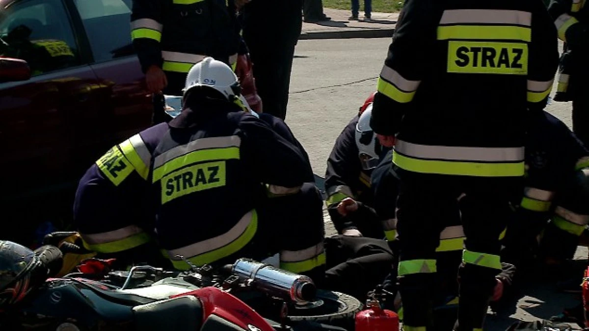 Zdjęcie