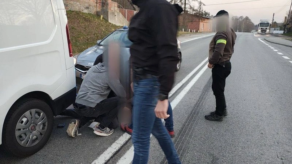 Zdjęcie