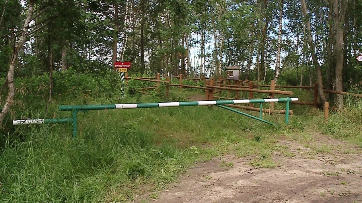 Zdjęcie