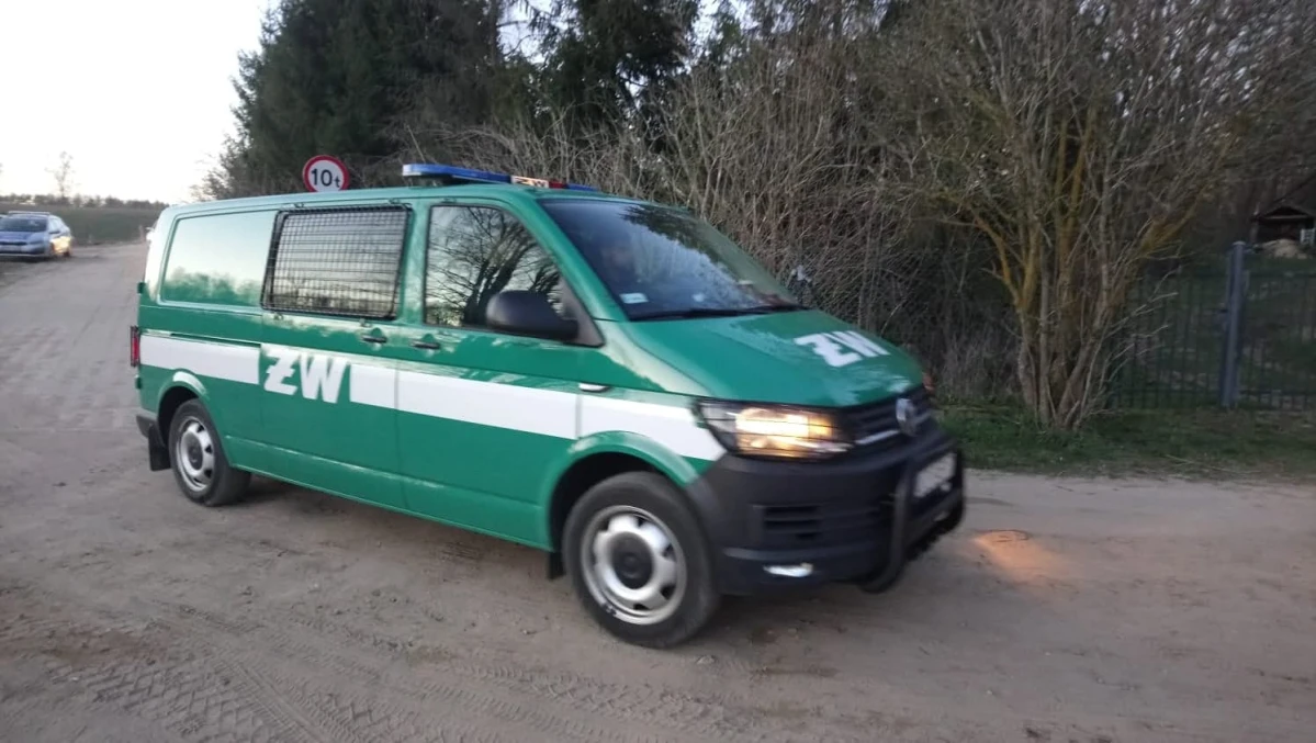 Zdjęcie