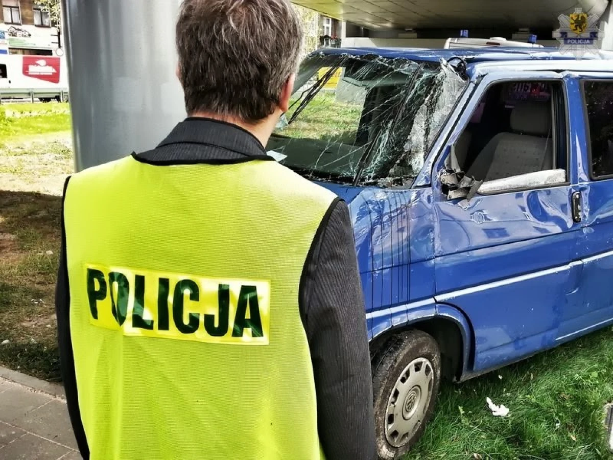 Zdjęcie