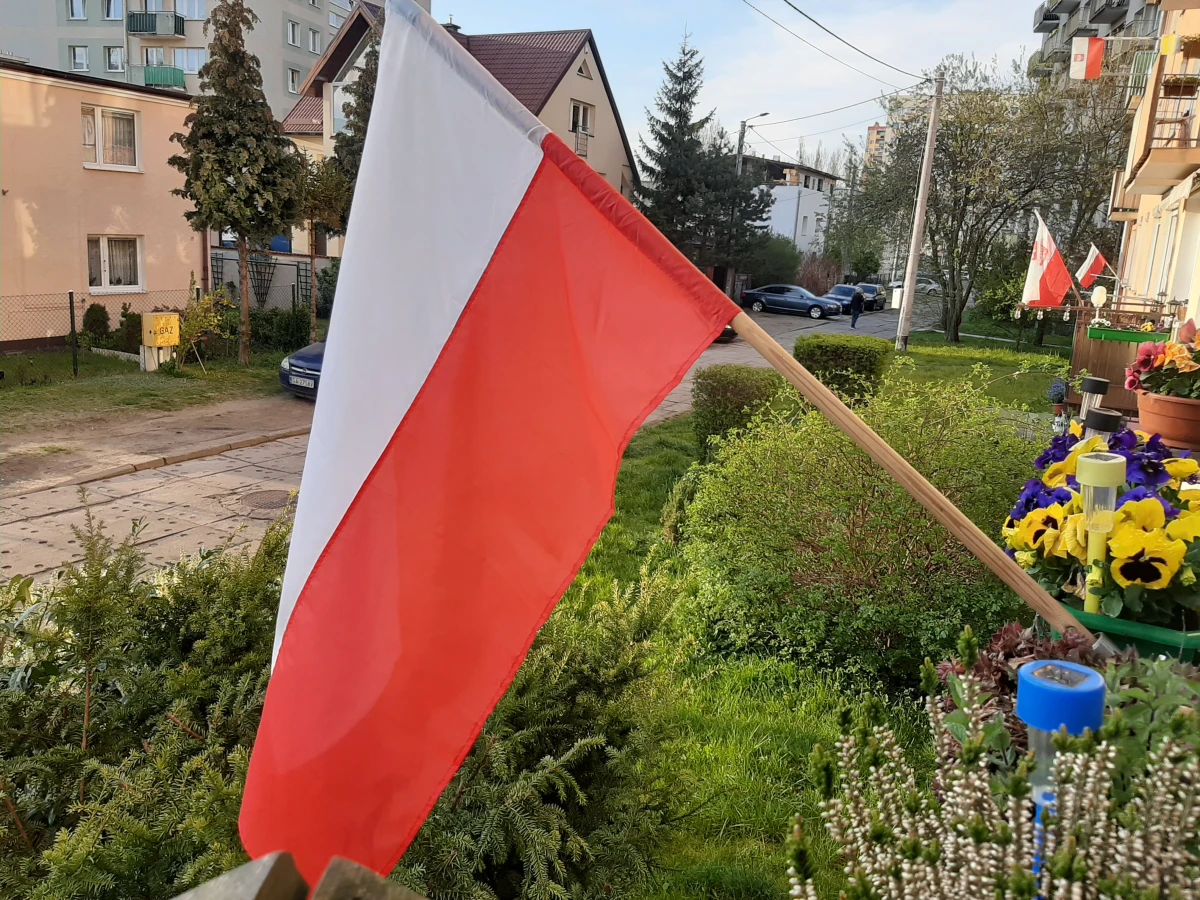 Zdjęcie