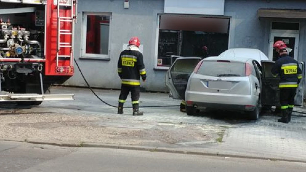 Zdjęcie