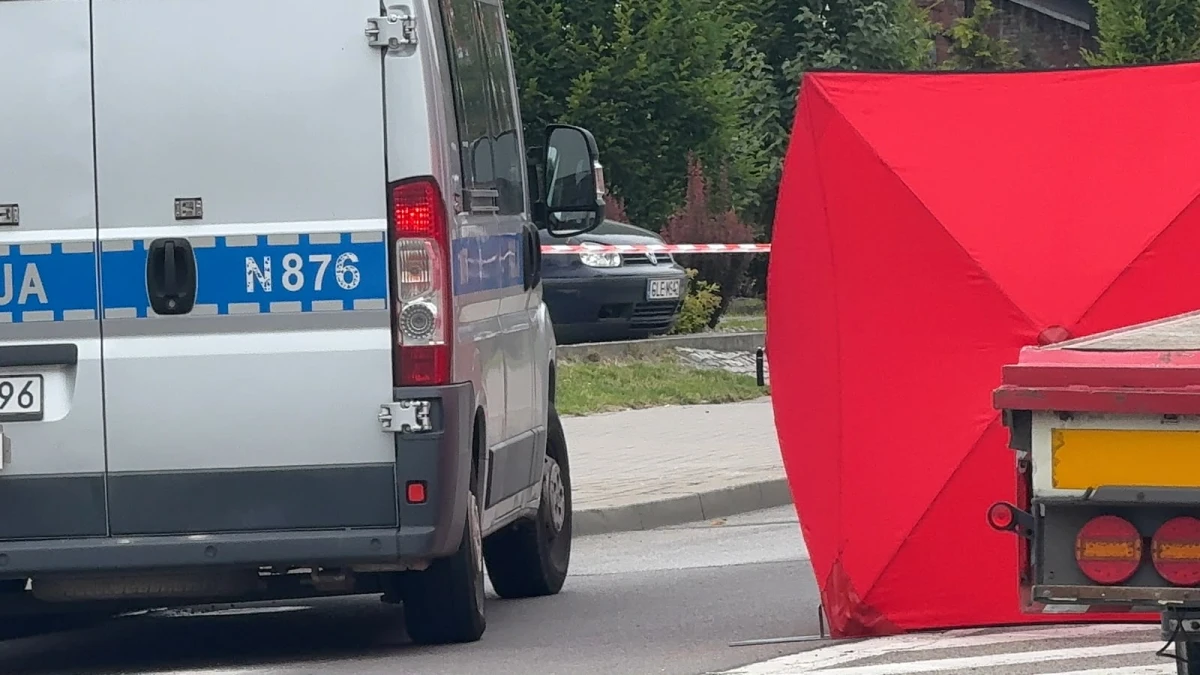 Zdjęcie