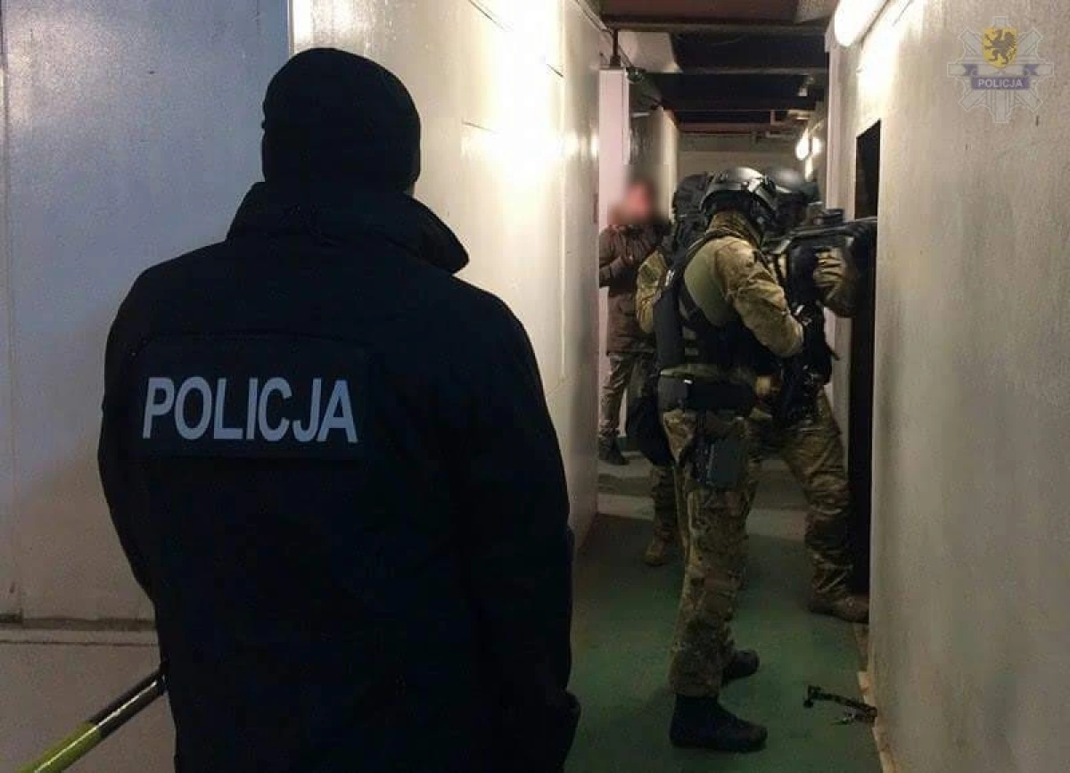 Zdjęcie