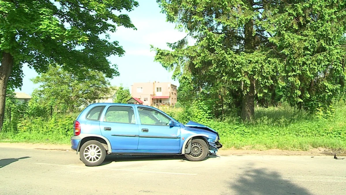 Zdjęcie