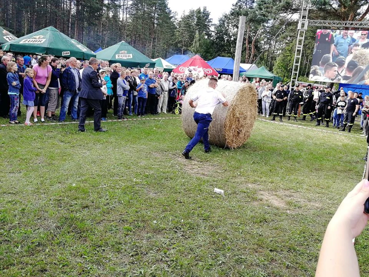 Zdjęcie