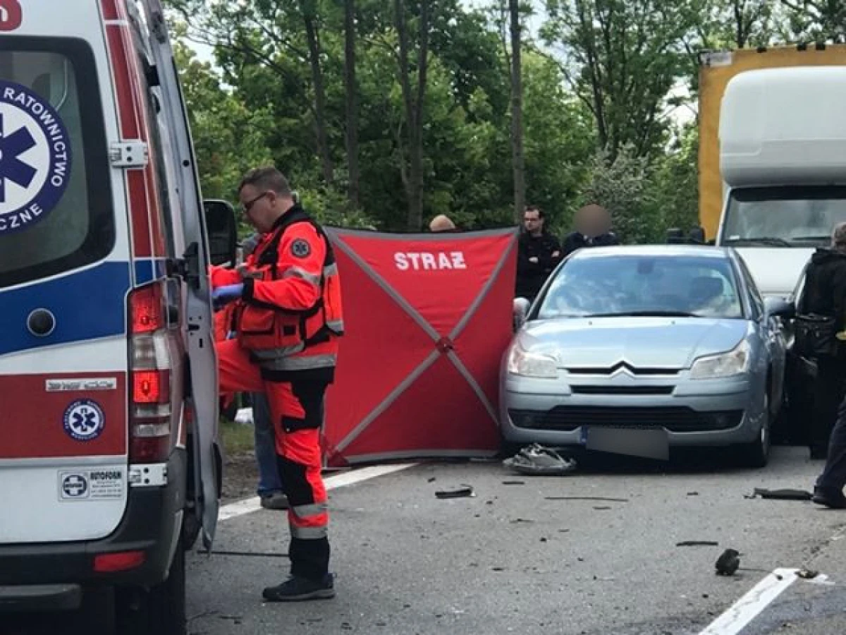 Zdjęcie