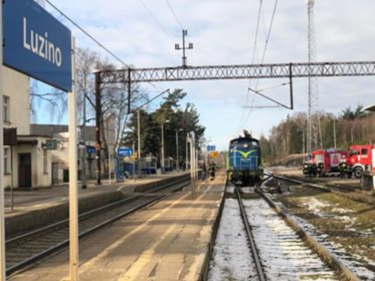 Zdjęcie