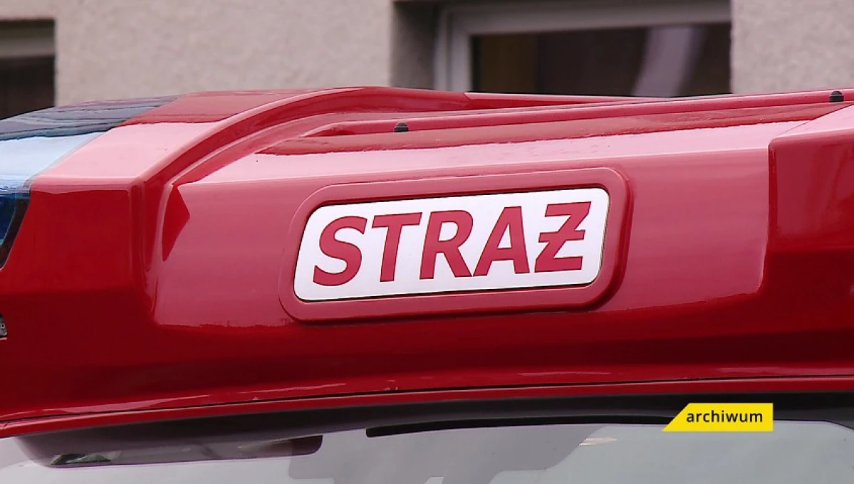 Zdjęcie