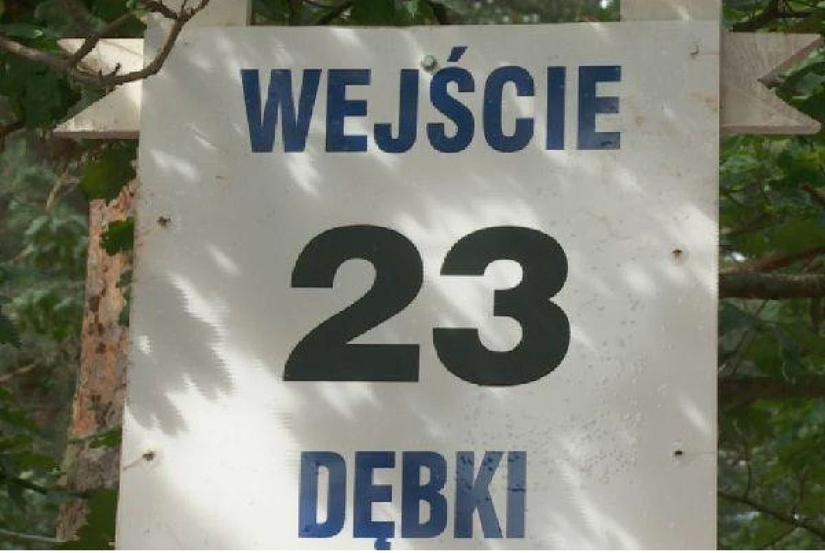 Zdjęcie