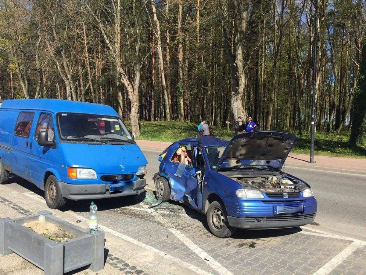 Zdjęcie