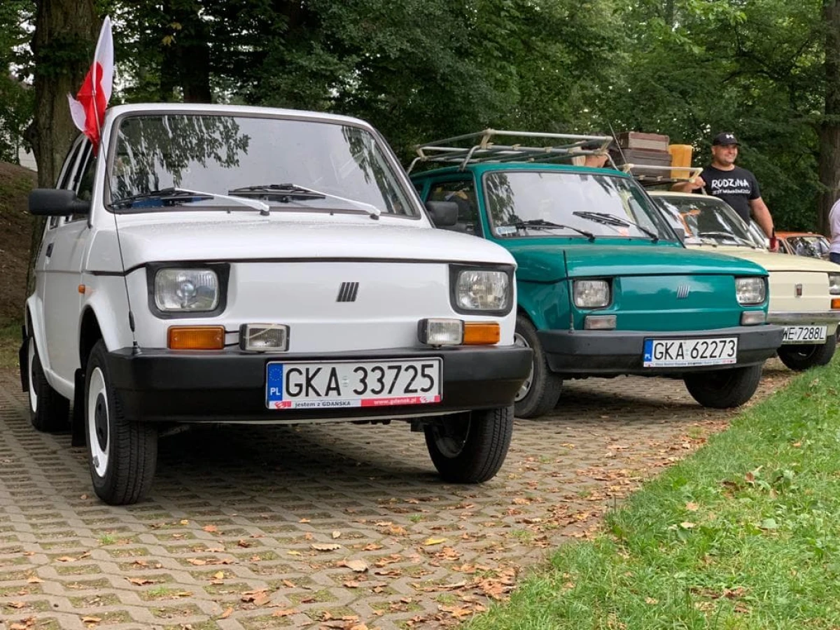 Zdjęcie